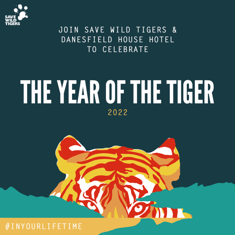 The year of the tiger 2022
